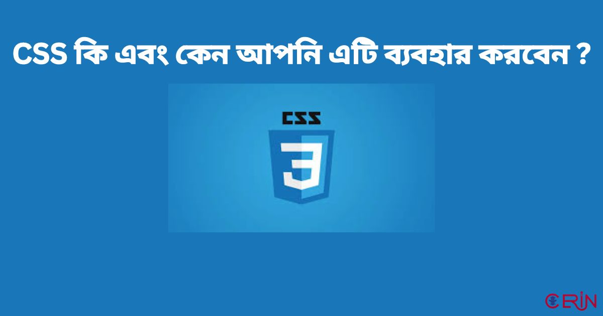 CSS কি