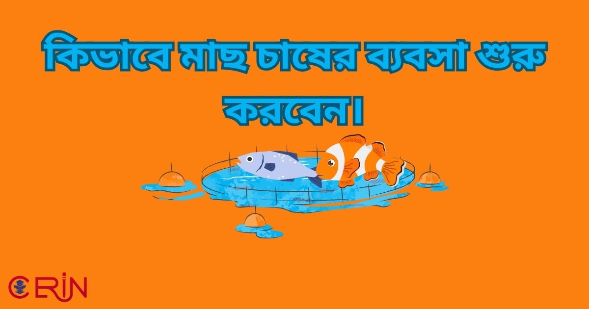 কিভাবে মাছ চাষের ব্যবসা শুরু করবেন ?